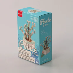 Costruzione - Pianta Grassa