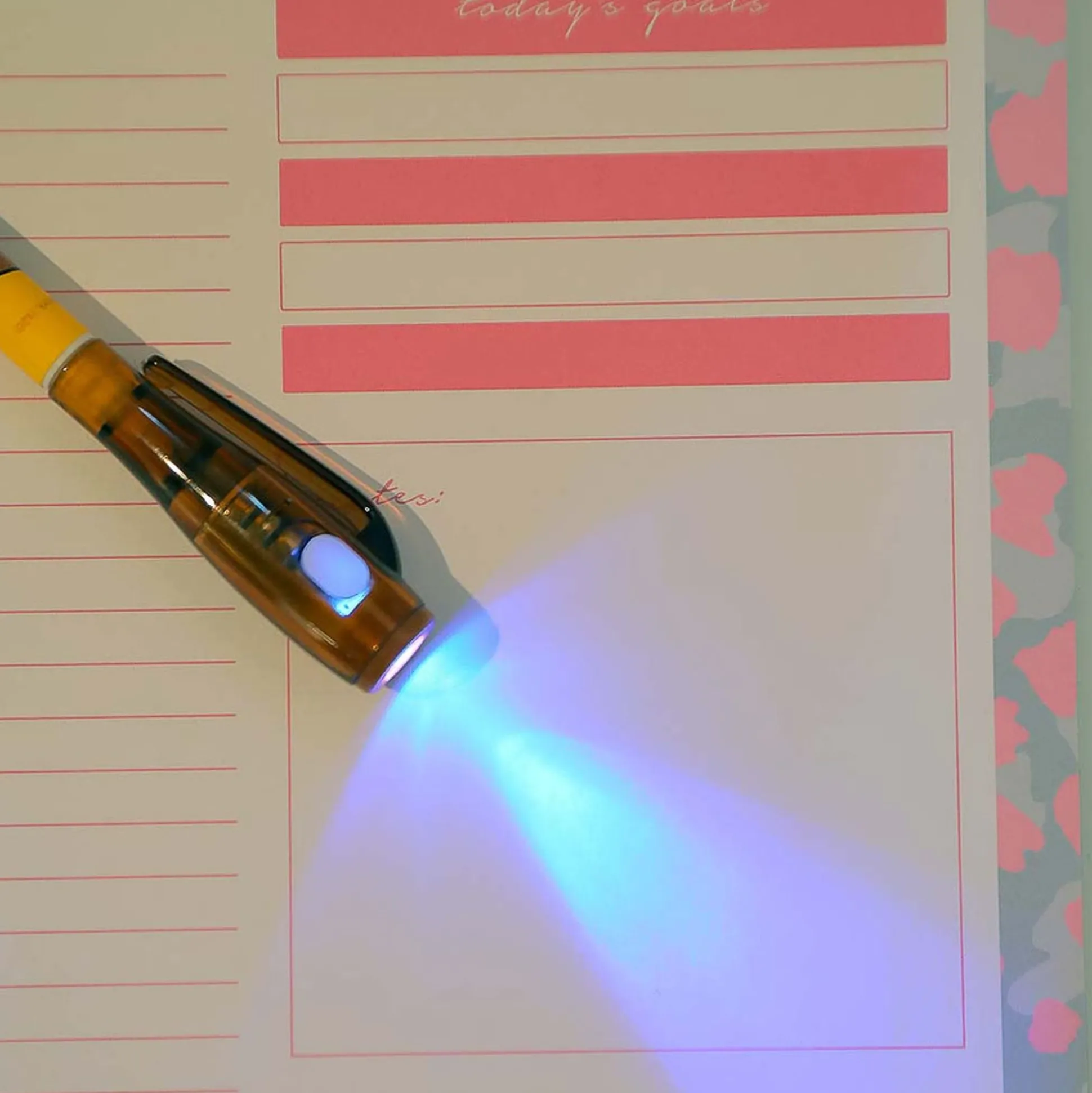 Penna Spy - Grizzly We Bare Bears